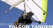 Falcon tandem